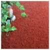 Gazon Synthétique Peps - Couleur Rouge Brique - 20mm - 2m X 5m -Flora Soldes 64627744974169.07608360