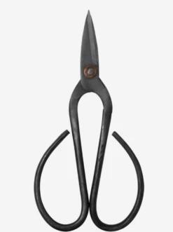 Ciseaux Bonsai -Flora Soldes 647dd33ff36377.86687764