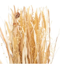 ATMOSPHERA Fagot De Fleurs Et Tiges Séchées D. 25 X H. 115 Cm -Flora Soldes 64821bbdf34e96.52846136