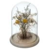 Fleurs Séchées Sous Cloche "folk" H26 Cm -Flora Soldes 6483186be130e5.92092408