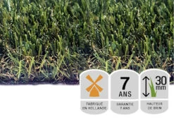 Gazon Synthétique Tendence 30mm - 4m X 2m -Flora Soldes 6495cc248d8c36.04083781