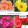 Collection 4 Rosiers Kordes - Lot De 4 Plants En Godet 2 Collection 4 Rosiers Kordes - Lot De 4 Plants En Godet -Flora Soldes 6495cf98e04978.18757236