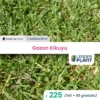 225 X Gazon Kikuyu En Godet 1 225 X Gazon Kikuyu En Godet -Flora Soldes 6495cfc04a8c41.15360816