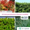 Kit Haie Persistante Et Fleurie - 4 Variétés - Lot De 12 Plants En Pot De 4 L -Flora Soldes 6495d6bb271875.93272060