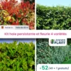 Kit Haie Persistante Et Fleurie - 4 Variétés - Lot De 52 Plants En Pot De 4 L -Flora Soldes 6495d6bd496dc5.79554142
