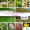 Kit Haie 4 Saisons Terrain Calcaire – 10 Variétés – Lot De 23 Plants En Godet -Flora Soldes 6495d6bec473c8.00133555