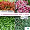 Kit Haie Persistante, Rustique Et Fleurie - 4 Variétés - Lot De 12 Plants En Godet -Flora Soldes 6495d6c1164933.44020403