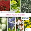 Kit Haie Fleurie 7 Variétés - Lot De 7 Plants En Godet -Flora Soldes 6495d6c2f21c57.14565818