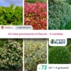 Kit Haie Persistante Et Fleurie 6 Variétés – Lot De 72 Plants En Pot De 1 L -Flora Soldes 6495d6c51cf639.11979241