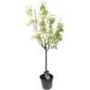 Poirier Jeanne D'Arc : Gobelet 3 Ans D'âge Ctr 12 Litres -Flora Soldes 6528 1655464