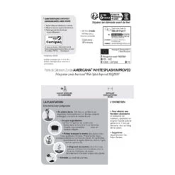 Géranium Zonale Americana® White Splash Improved'Label Rouge:10 Plants -Flora Soldes 697188 1761607