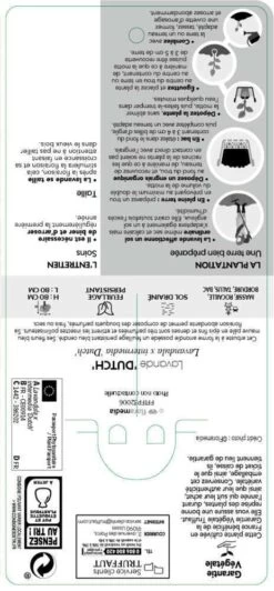 Lavande X Intermedia Dutch Lavander Pot 3L 8 Lavande X Intermedia Dutch Lavander Pot 3L -Flora Soldes 739237 002