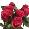 Botte De 7 Roses Rhodos Rouges 1 Botte De 7 Roses Rhodos Rouges -Flora Soldes 748900 006