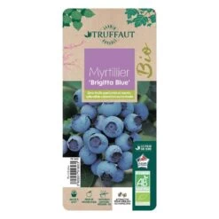Myrtillier 'Brigitta Blue' Bio : Pot De 1,5 Litres -Flora Soldes 791603 003