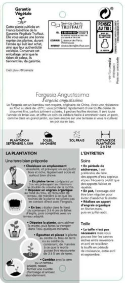 Bambou Non-traçant Fargesia Angustissima: Pot De 5 Litres -Flora Soldes 825296 007