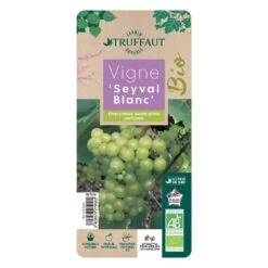 Vigne 'Seyval Blanc' AB - Pot 1,5 L -Flora Soldes 827056 002
