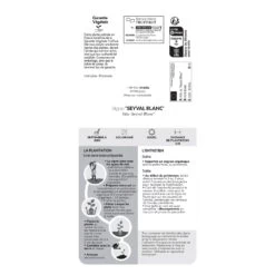 Vigne 'Seyval Blanc' AB - Pot 1,5 L -Flora Soldes 827056 1767094