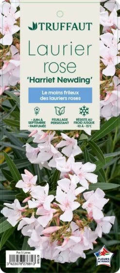 Nerium Oleander Harriet Newding' Pot 5L -Flora Soldes 827681 004