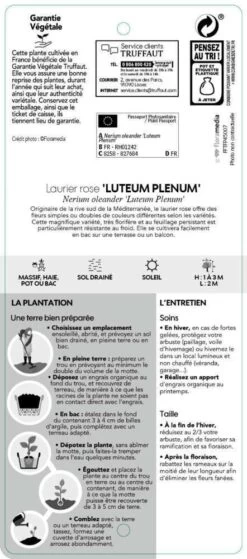 Nerium Oleander Luteum Plenum' Pot 5L 8 Nerium Oleander Luteum Plenum' Pot 5L -Flora Soldes 827684 003