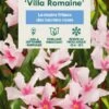 Nerium Oleander Villa Romaine' Pot 5L -Flora Soldes 827688 003
