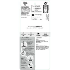 Framboisier Groovy®'Jdeboer005':pot 5L -Flora Soldes 831270 1432924