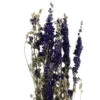 Bouquet De Fleurs Séchées Delphinium -Flora Soldes 837661 1697305