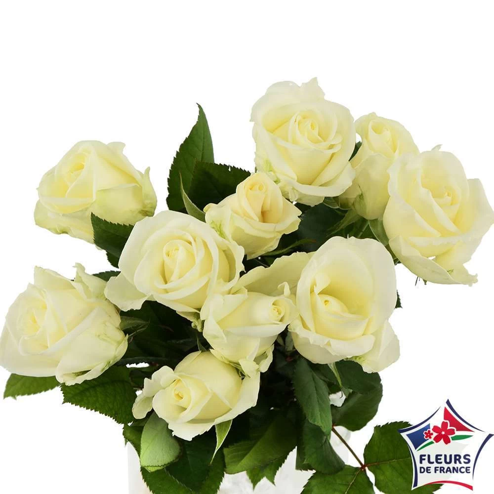 Botte 10 Roses ''Fleurs De France'' H.50cm Coloris Variables 7 Botte 10 Roses ''Fleurs De France'' H.50cm Coloris Variables - Image 5