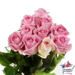 Botte 10 Roses ''Fleurs De France'' H.50cm Coloris Variables 9 Botte 10 Roses ''Fleurs De France'' H.50cm Coloris Variables -Flora Soldes 907464 003