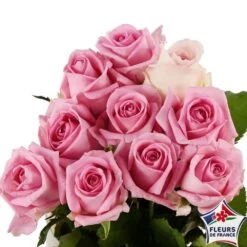 Botte 10 Roses ''Fleurs De France'' H.50cm Coloris Variables 10 Botte 10 Roses ''Fleurs De France'' H.50cm Coloris Variables -Flora Soldes 907464 004