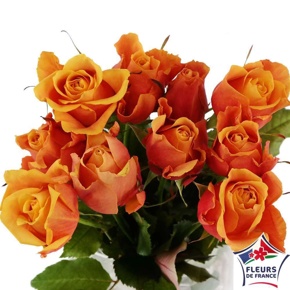 Botte 10 Roses ''Fleurs De France'' H.50cm Coloris Variables 4 Botte 10 Roses ''Fleurs De France'' H.50cm Coloris Variables - Image 2
