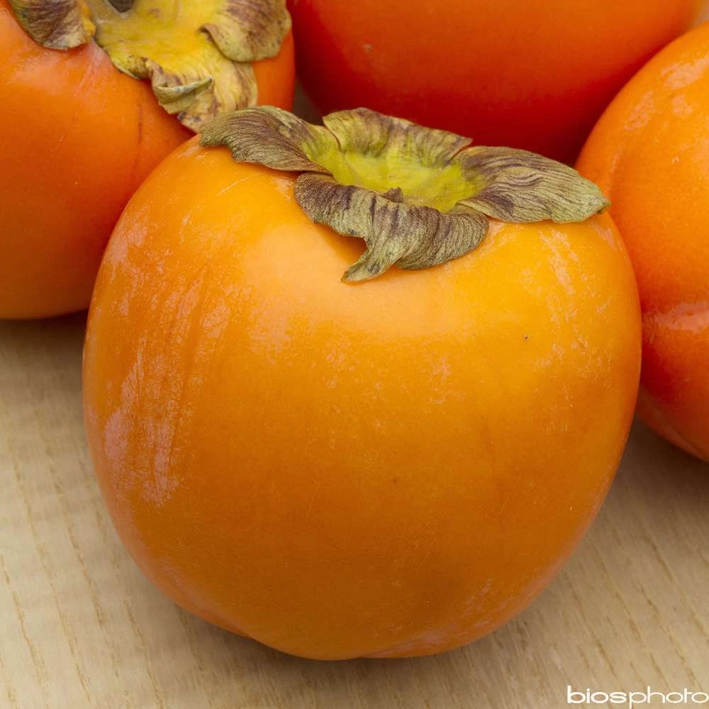 Kaki 'Rouge Brillant 1/2T Pot 15L 4 Kaki 'Rouge Brillant 1/2T Pot 15L – Image 2