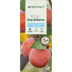 Kaki 'Rouge Brillant 1/2T Pot 15L 8 Kaki 'Rouge Brillant 1/2T Pot 15L -Flora Soldes 952752 002