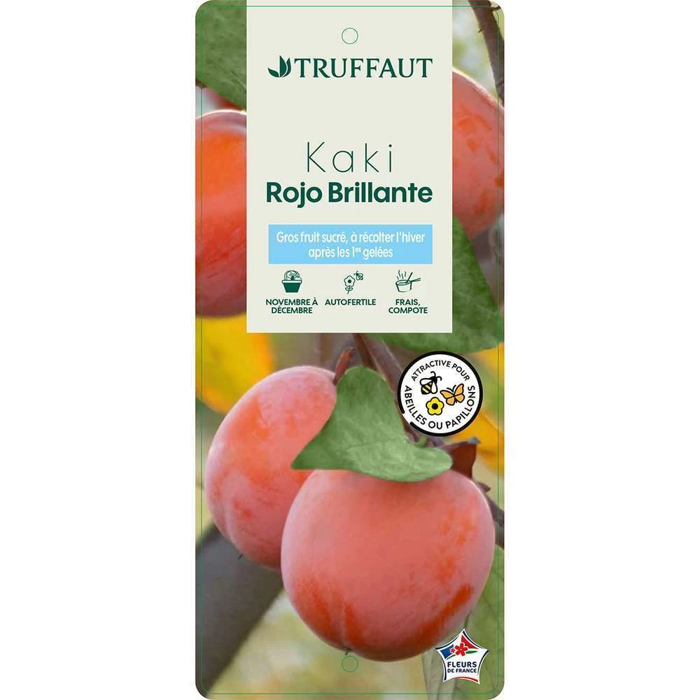Kaki 'Rouge Brillant 1/2T Pot 15L 5 Kaki 'Rouge Brillant 1/2T Pot 15L – Image 3