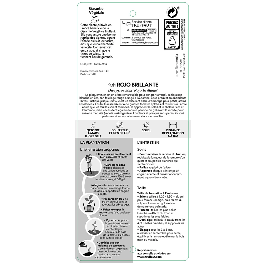 Kaki 'Rouge Brillant 1/2T Pot 15L 3 Kaki 'Rouge Brillant 1/2T Pot 15L