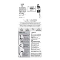 Pêcher Reine Des Vergers Bio, Gobelet 2 Ans -Flora Soldes 952756 007