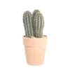 Cactus Mix : Pot Ø27 Cm -Flora Soldes 953539 002