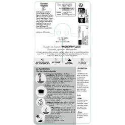 Euonymus Japonicus 'Mycrophyllus' : Pot 3L -Flora Soldes 954309 1711951