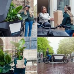 Rhipsalis Baccifera - H30cm, ø12cm - Plante D'intérieur Tombante -Flora Soldes d3a5bef6d9799bb3